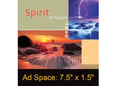 Desk Calendar DC20